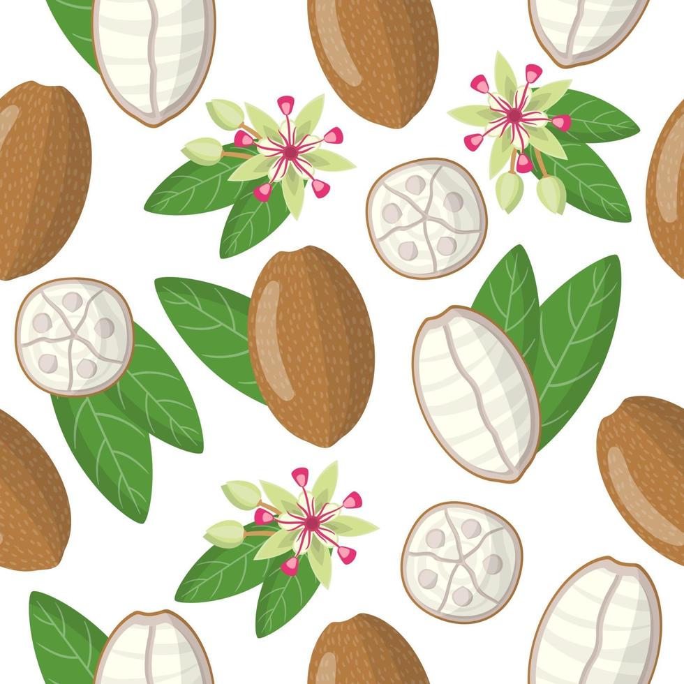 Vector de dibujos animados de patrones sin fisuras con theobroma grandiflorum o cupuacu frutas exóticas flores y hojas sobre fondo blanco.