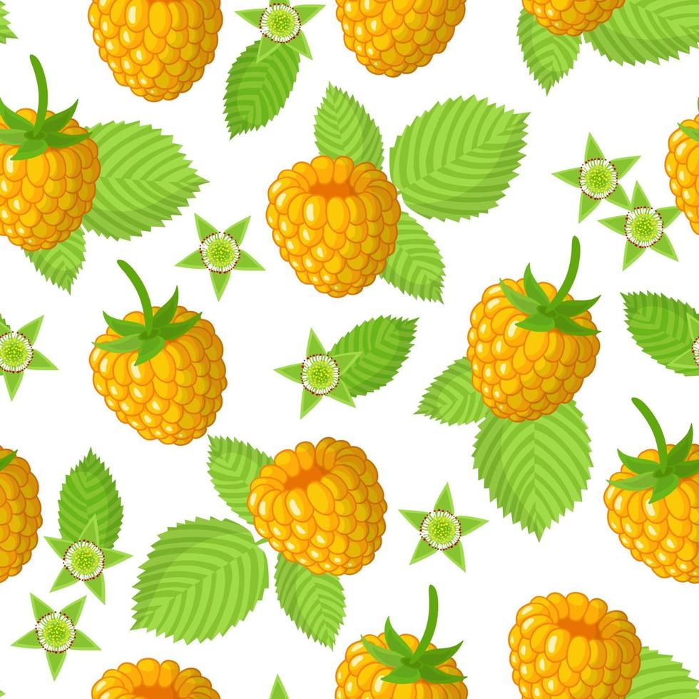 Vector de dibujos animados de patrones sin fisuras con frambuesas amarillas frutas exóticas, flores y hojas sobre fondo blanco.