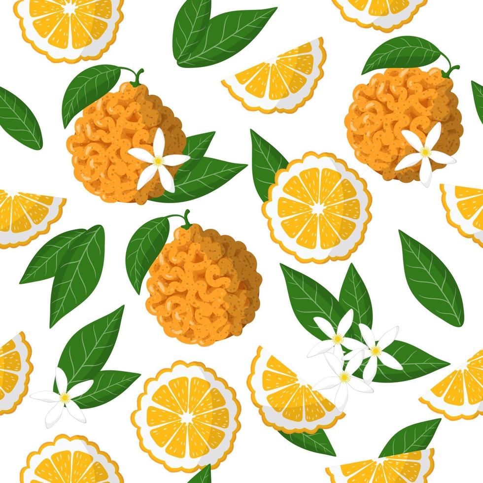 Vector cartoon seamless pattern with Citrus Bitter orange exotic fruits, flowers and leafs on white background