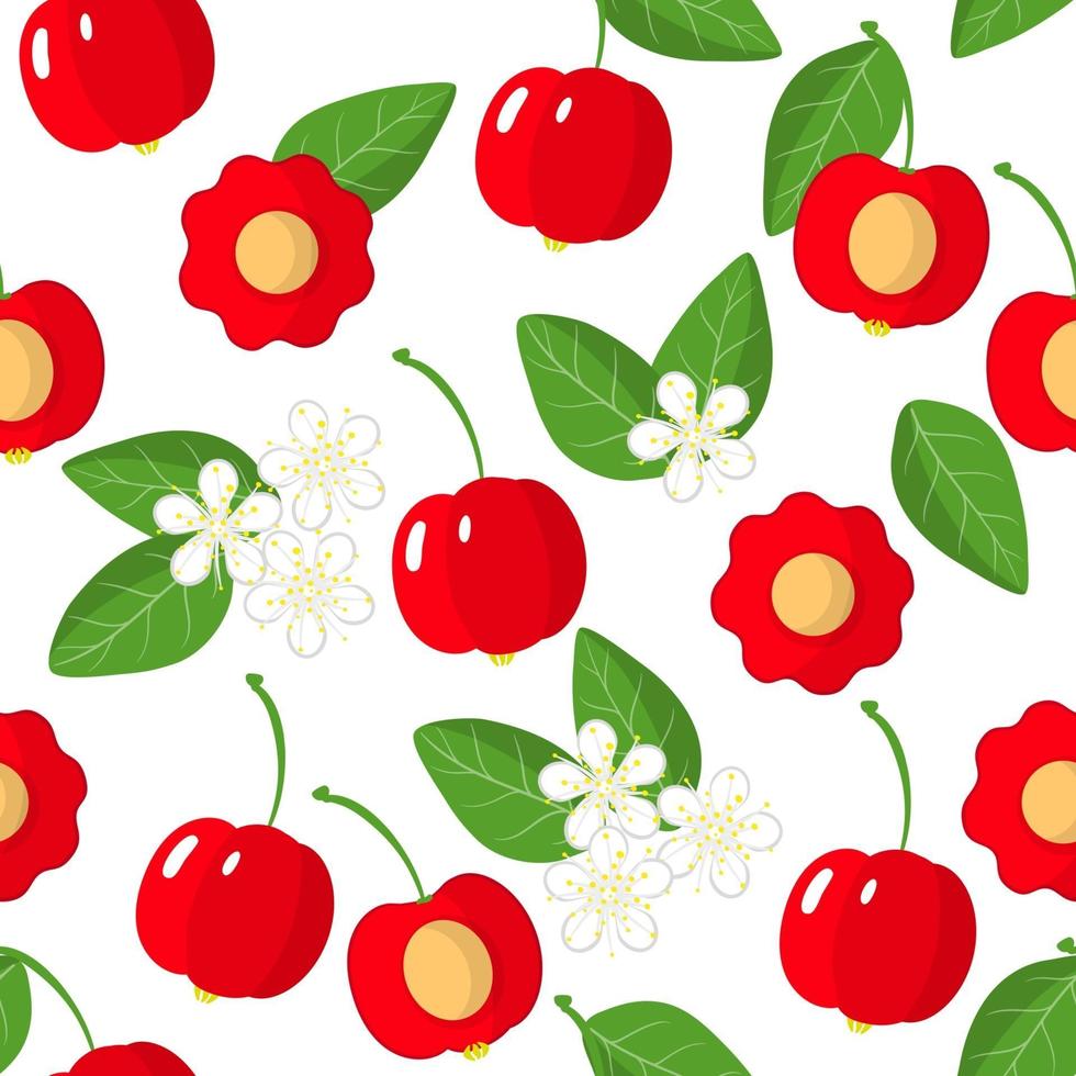 Vector cartoon seamless pattern with Pitanga or Suriname cherry exotic fruits, flowers and leafs on white background