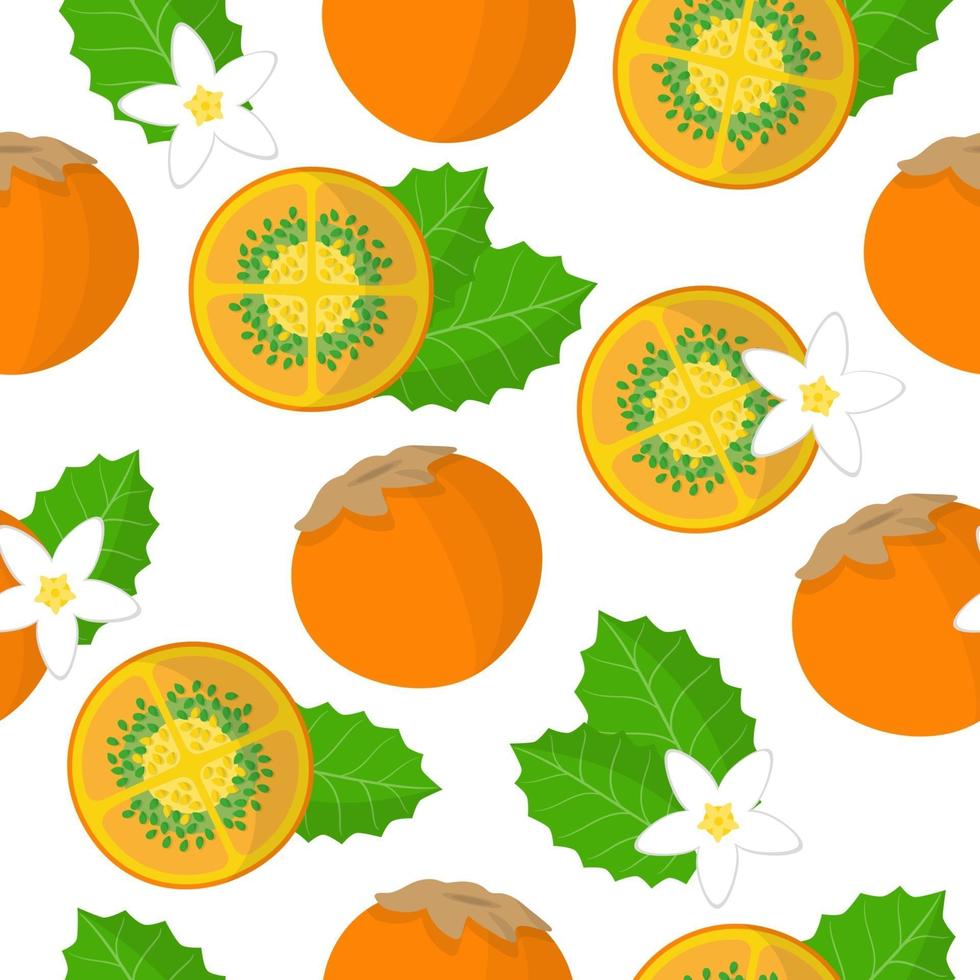 Vector de dibujos animados de patrones sin fisuras con solanum quitoense o naranjilla frutas exóticas, flores y hojas sobre fondo blanco.