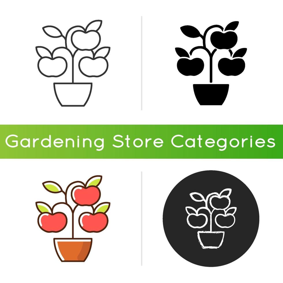 Fruit trees shrubs icon vector
