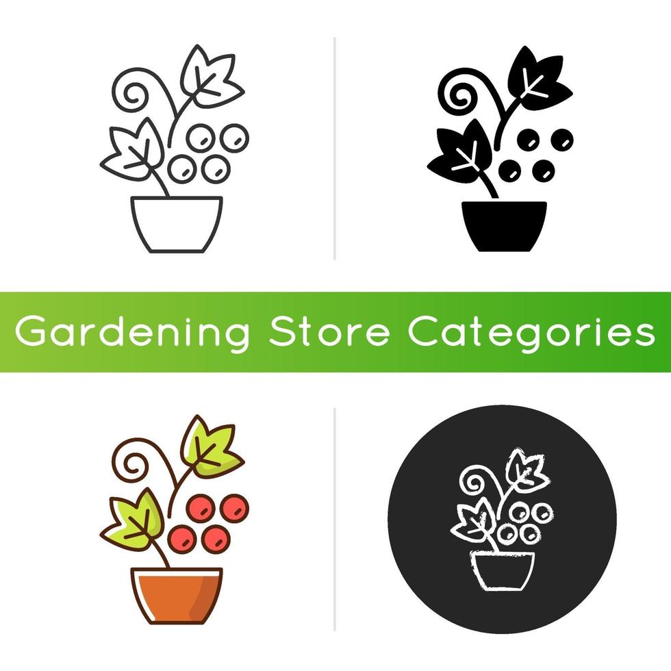 Berry shrubs and vines icon vector
