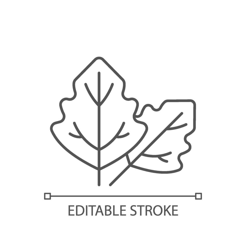 Lambs quarters linear icon vector