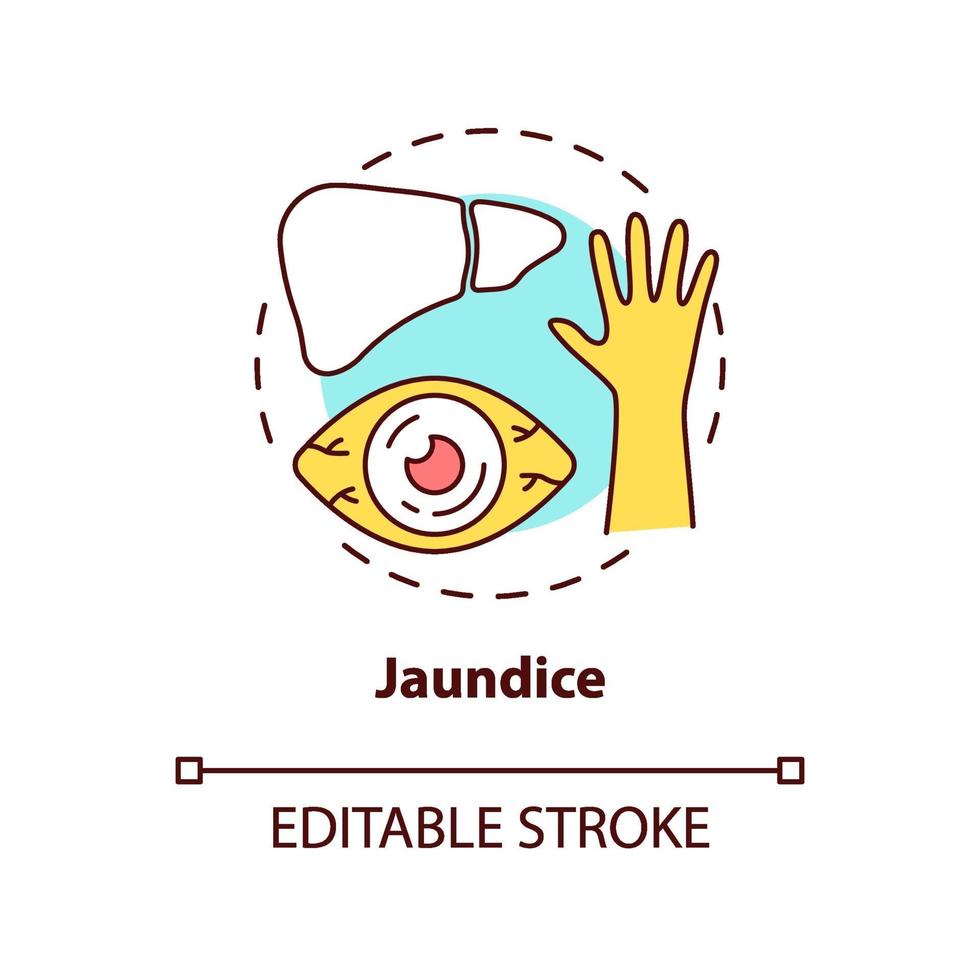 Jaundice concept icon vector