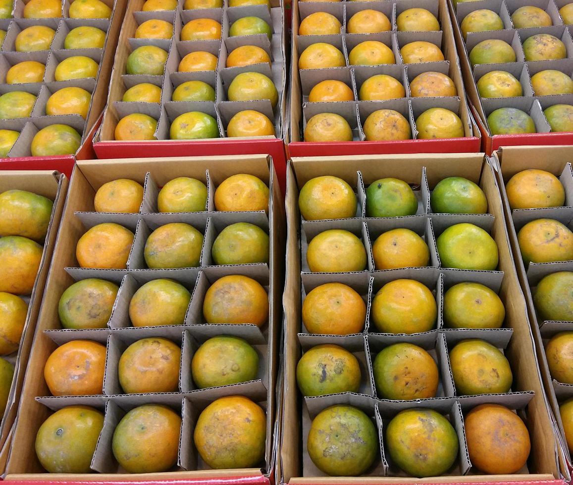 Oranges in paper box photo