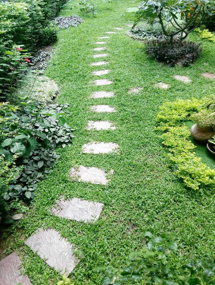 Stone path walkway in green grass garden photo