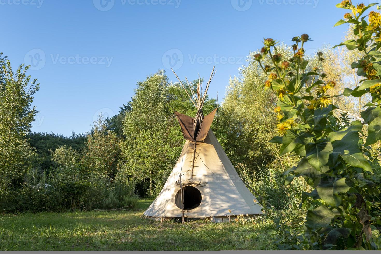 Single Indian tipi stands in a meadow between trees and bushes in the sunshine photo