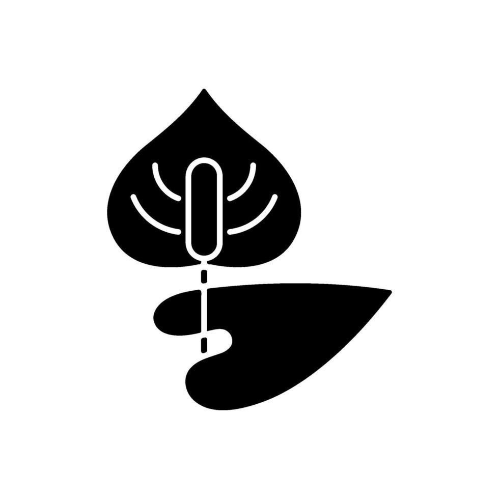 Anthurium black glyph icon vector