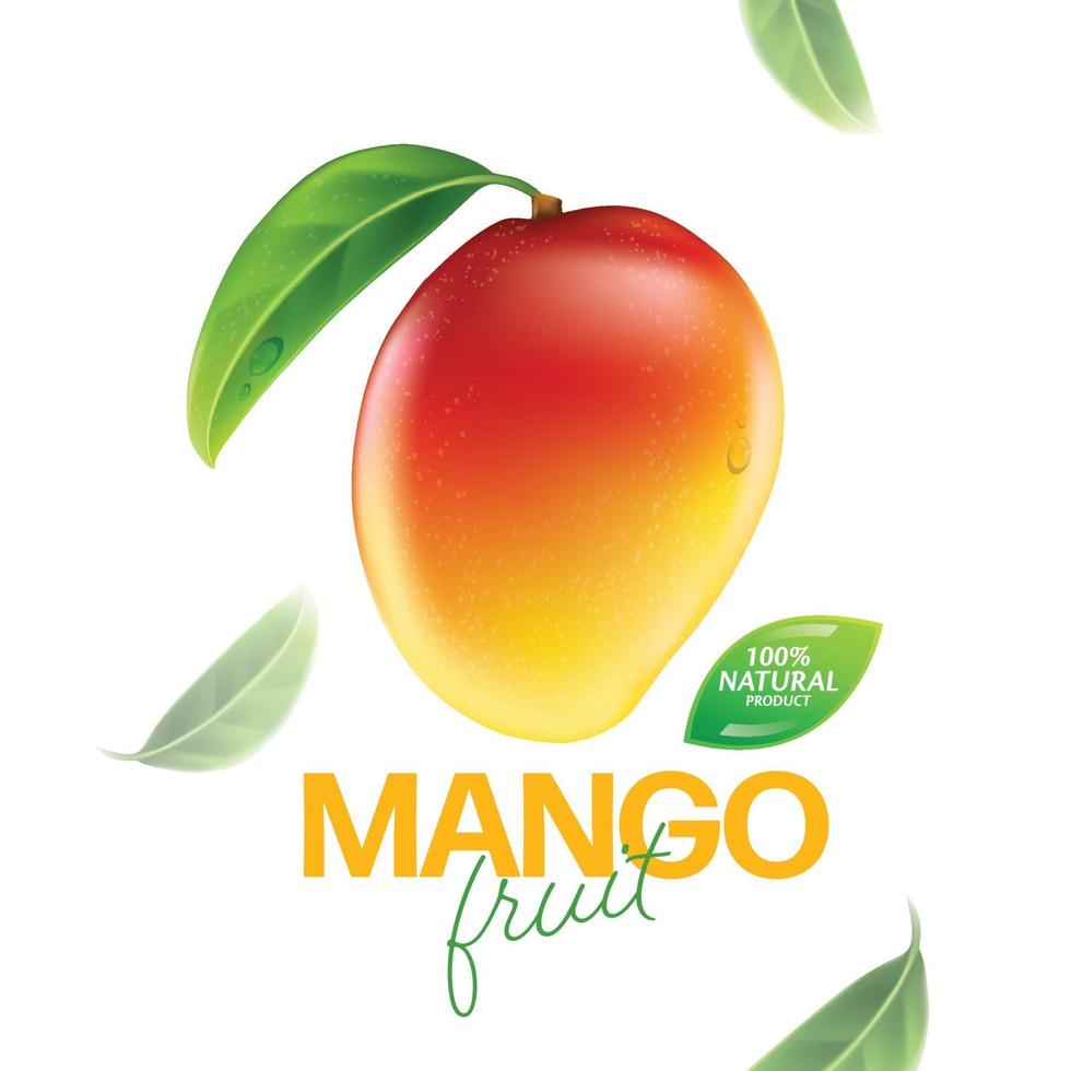 Fresh mango with slices and leaves illustration vector