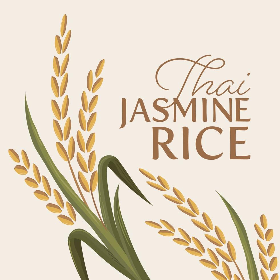 Rice vector illustration