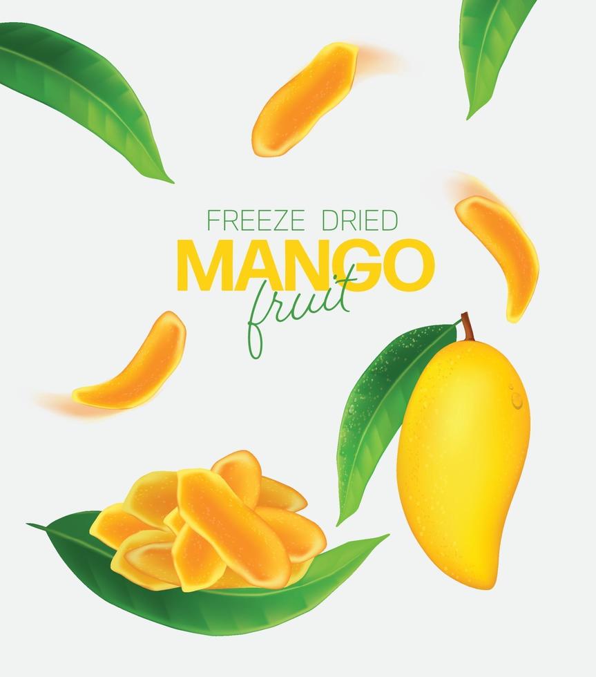 Fresh mango with slices and leaves illustration vector