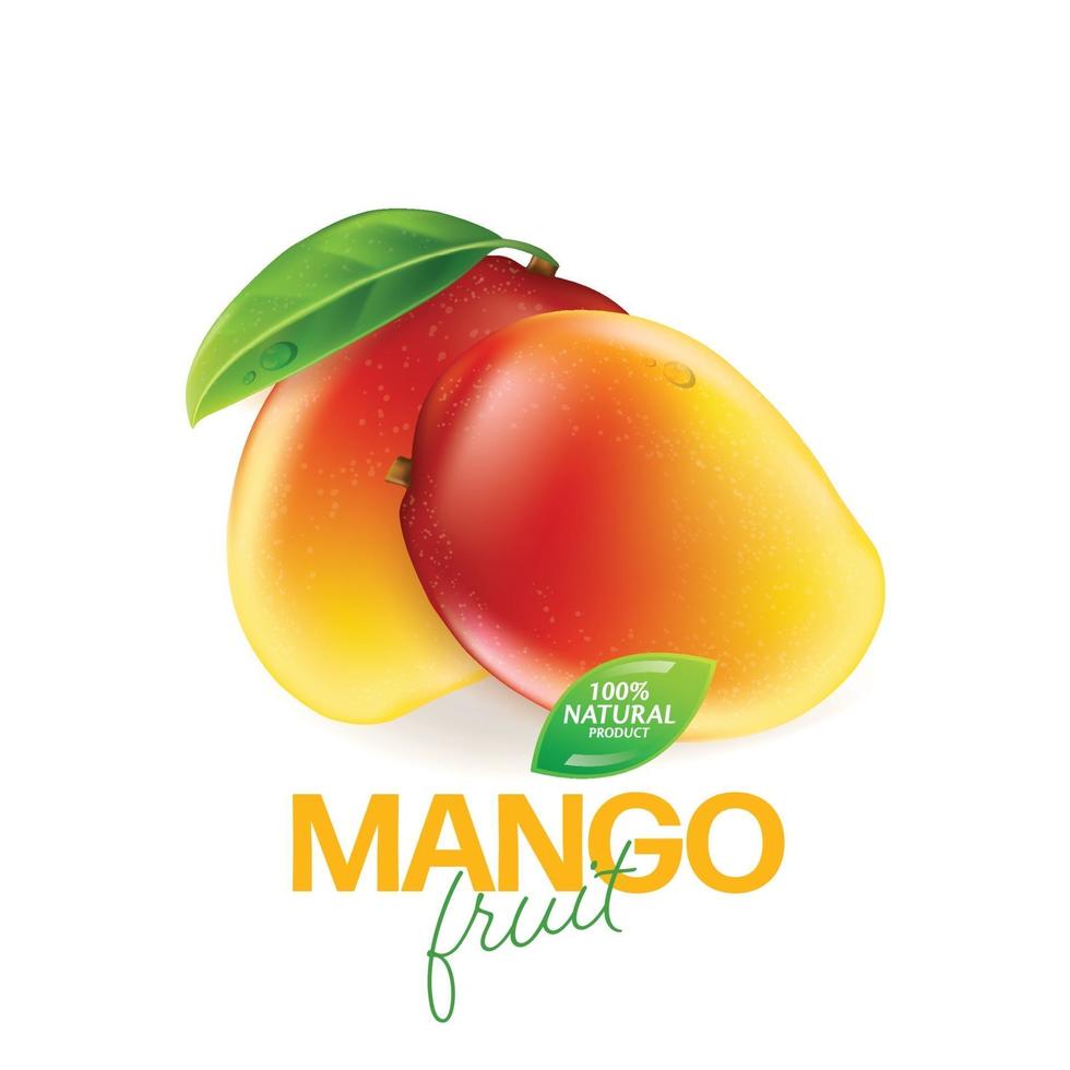 Fresh mango with slices and leaves illustration vector