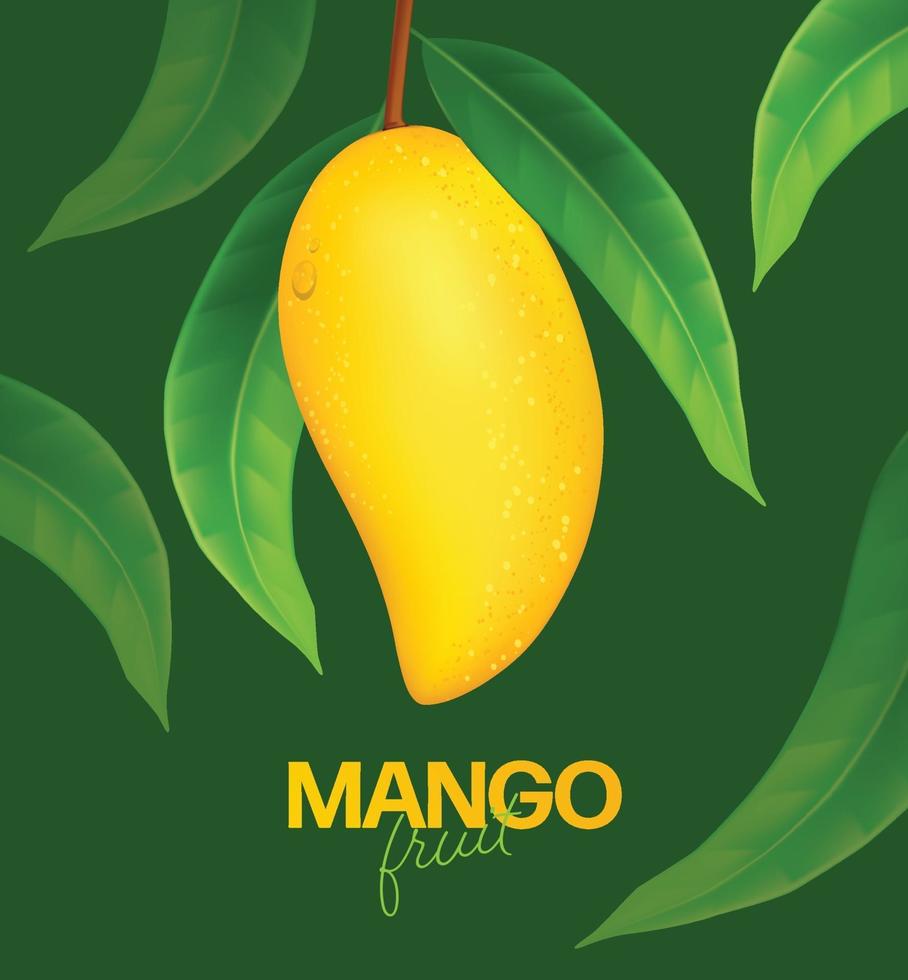 Fresh mango with slices and leaves illustration vector