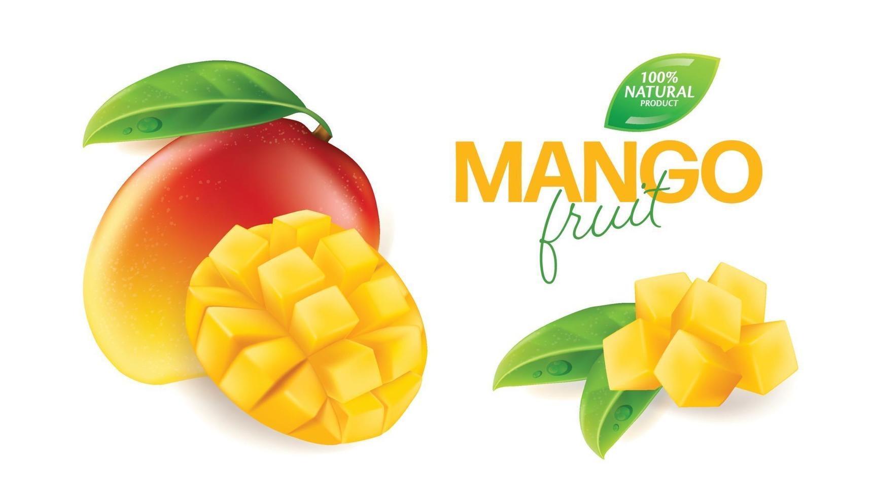 Fresh mango with slices and leaves illustration vector