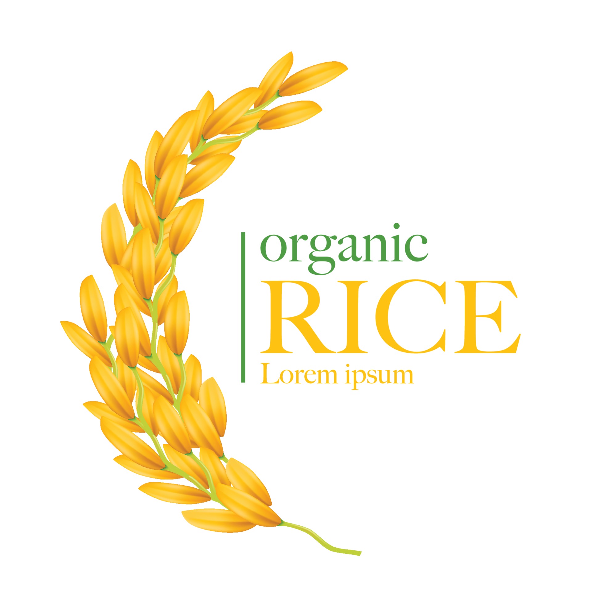 Rice vector illustration 2308910 Vector Art at Vecteezy