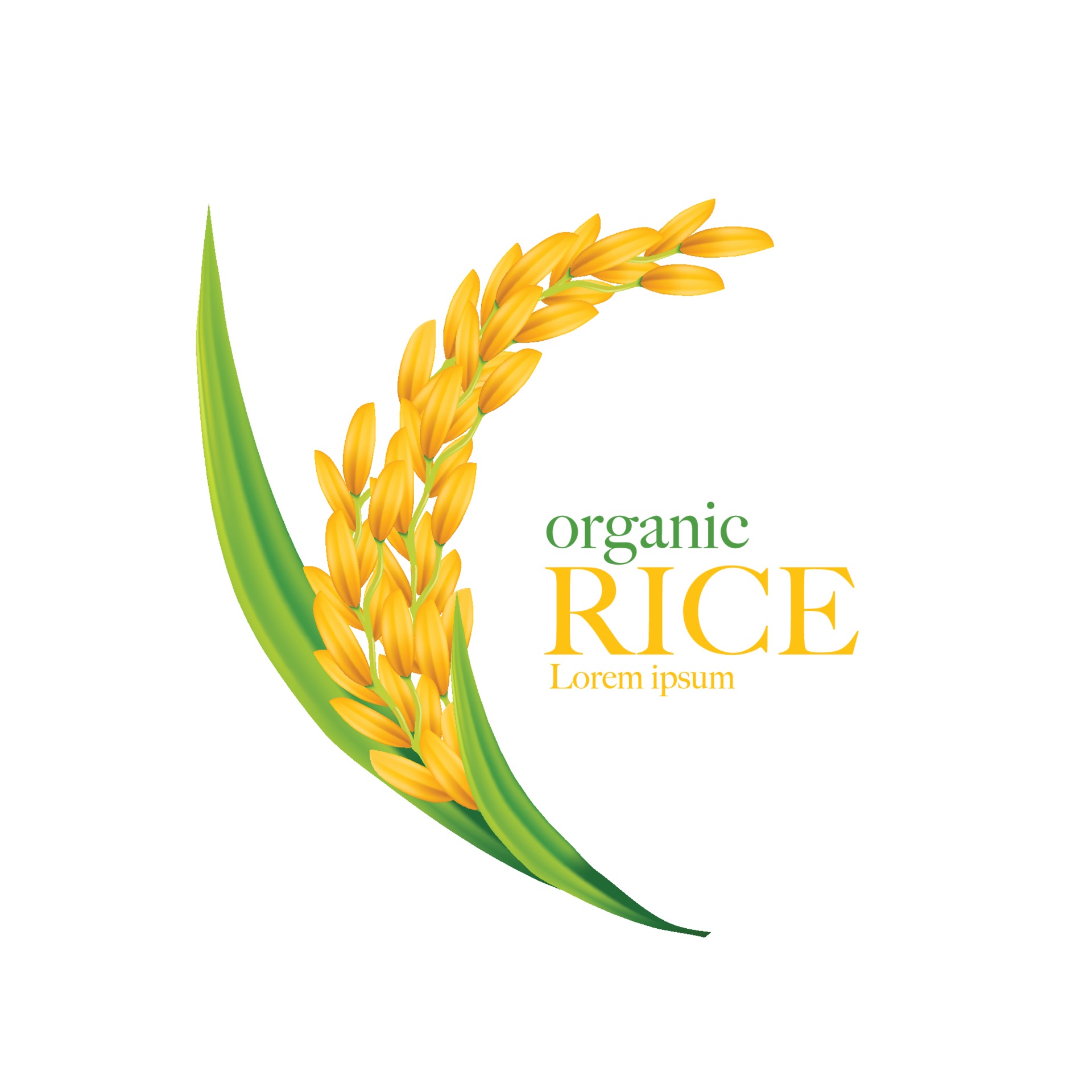 Rice vector illustration 2308911 Vector Art at Vecteezy