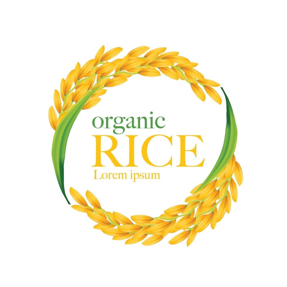 Rice vector illustration