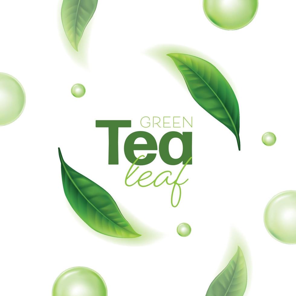 Realistic green tea leaves Vector