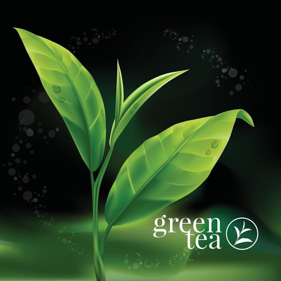 Realistic green tea leaves Vector