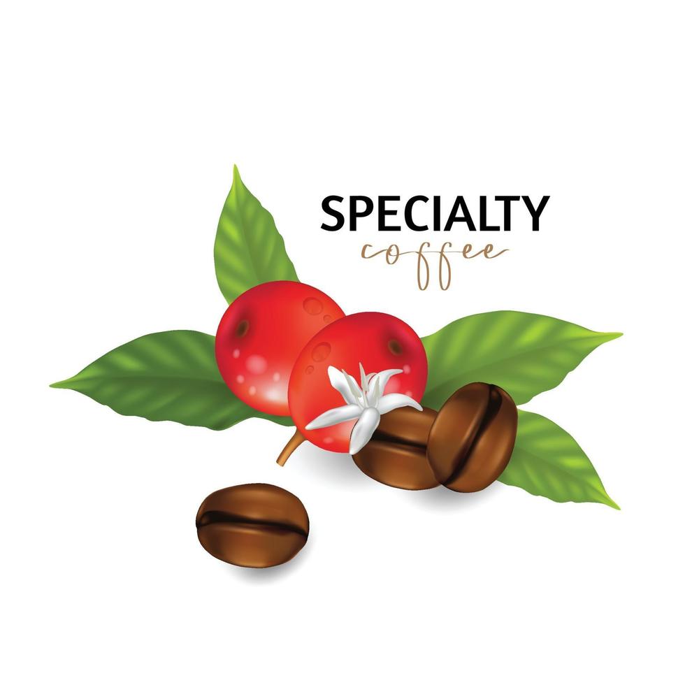 Vector illustration of Specialty coffee