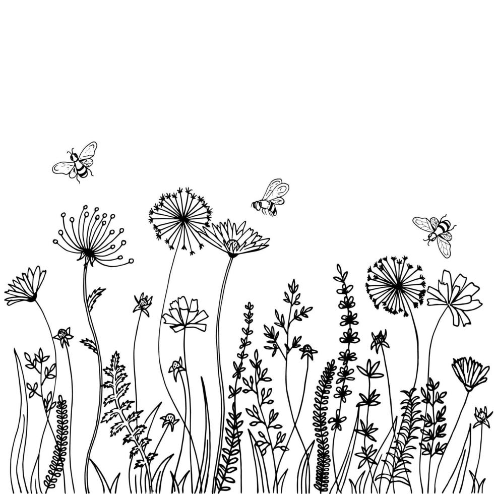 siluetas negras de hierba, picos y hierbas aisladas sobre fondo blanco. boceto dibujado a mano flores y abejas. vector