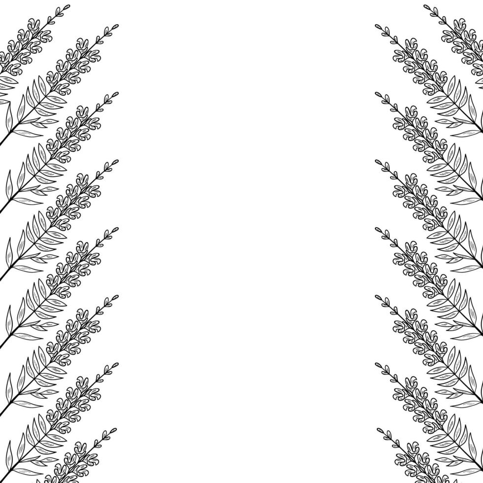 snapdragon frame border set vector