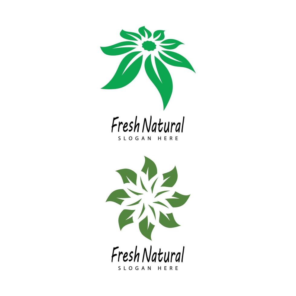 Mint leaves flat vector color icon template illustration design