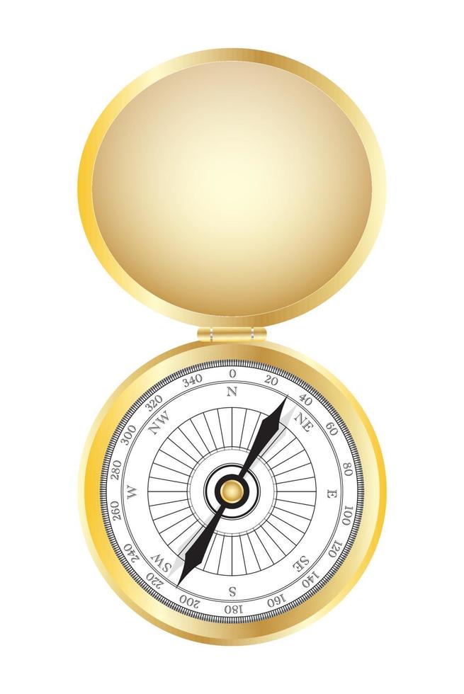 Gold compass vector