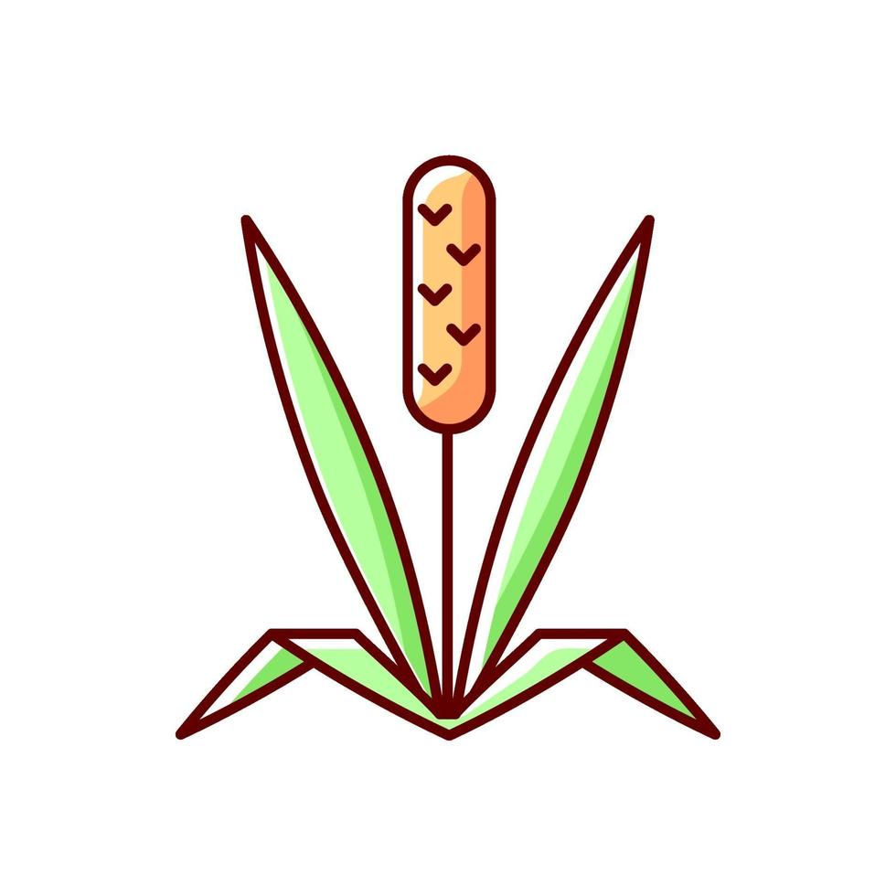 Timothy grass RGB color icon vector