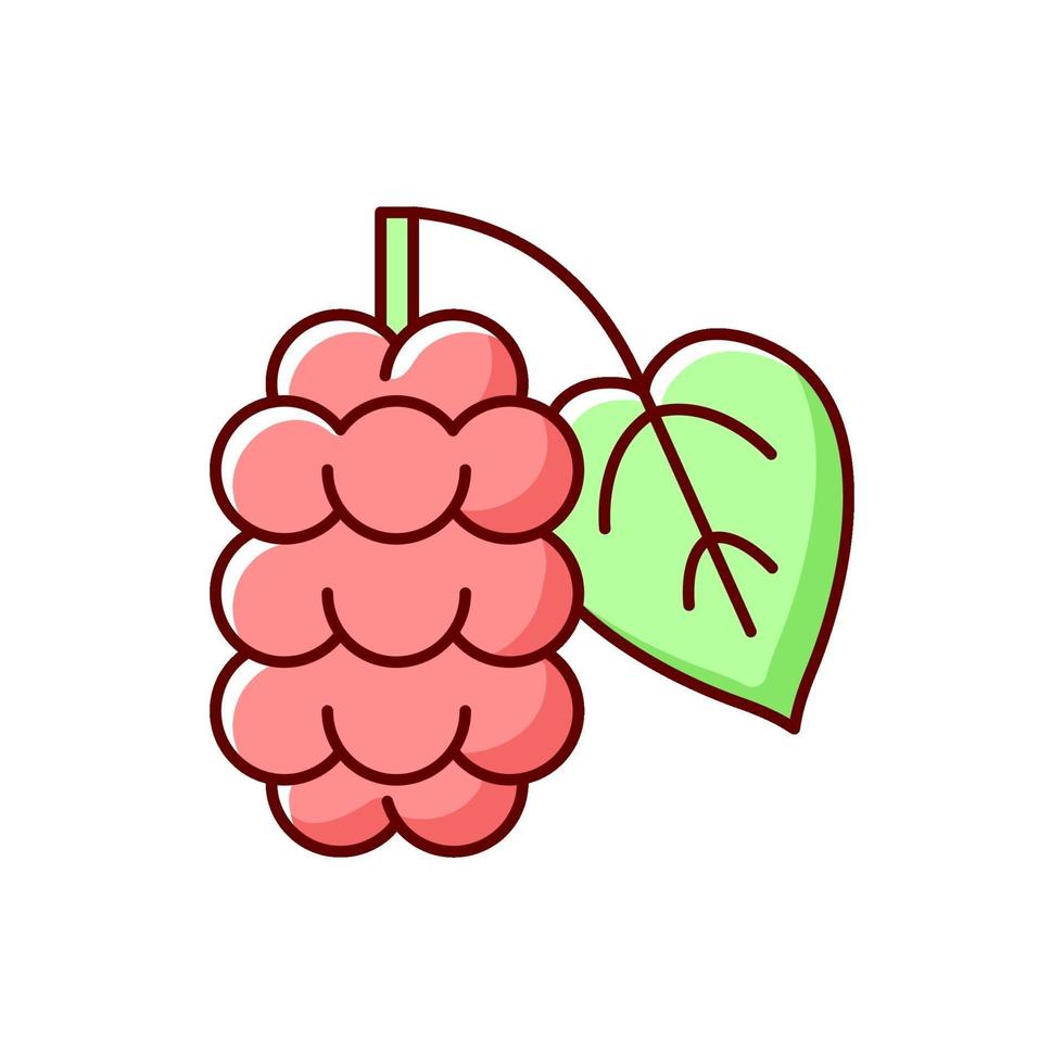 Mulberry RGB color icon vector