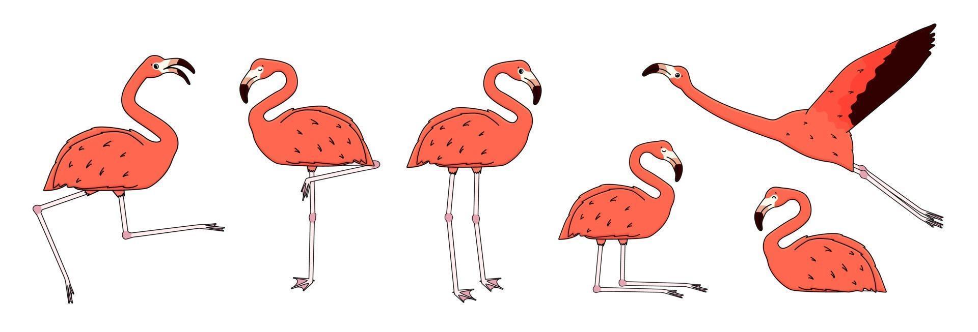 Set of Vector outline cartoon pink peach flamingos isolated on white background. Doodle animal is active, dancing, flies, rejoices, sleeps, rests, relaxes, dreams, walks. Different poses illustration