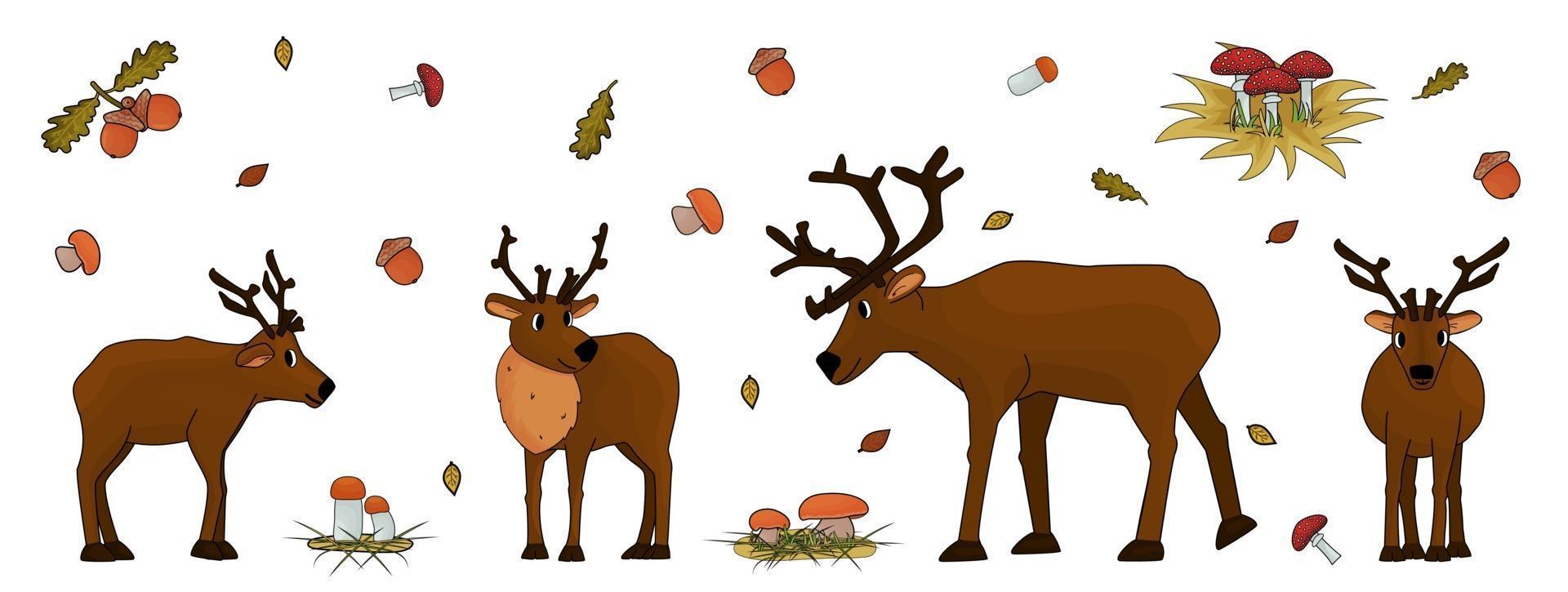 Set of Cute hand drawn cartoon isolated deers with antlers or caribou, mushrooms, leaves, grass, fly agarics, porcini mushrooms, aspen mushrooms, acorn, oak leaves on white background vector