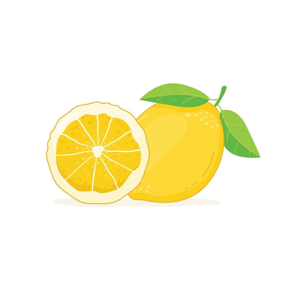 Lemon with leaves isolated on white background vector