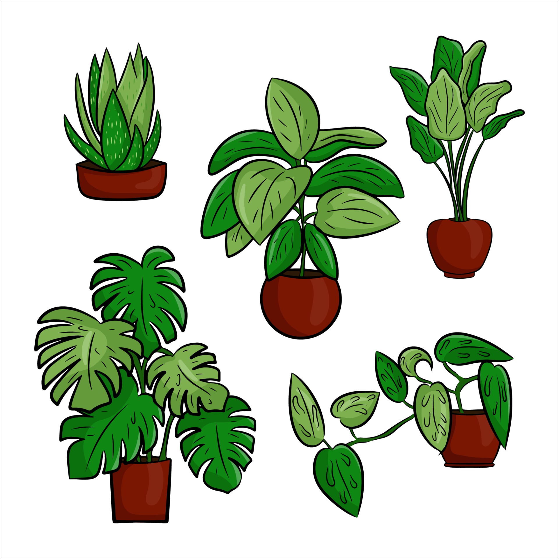 Vector collection of potted houseplants in a flat cartoon style. A ...