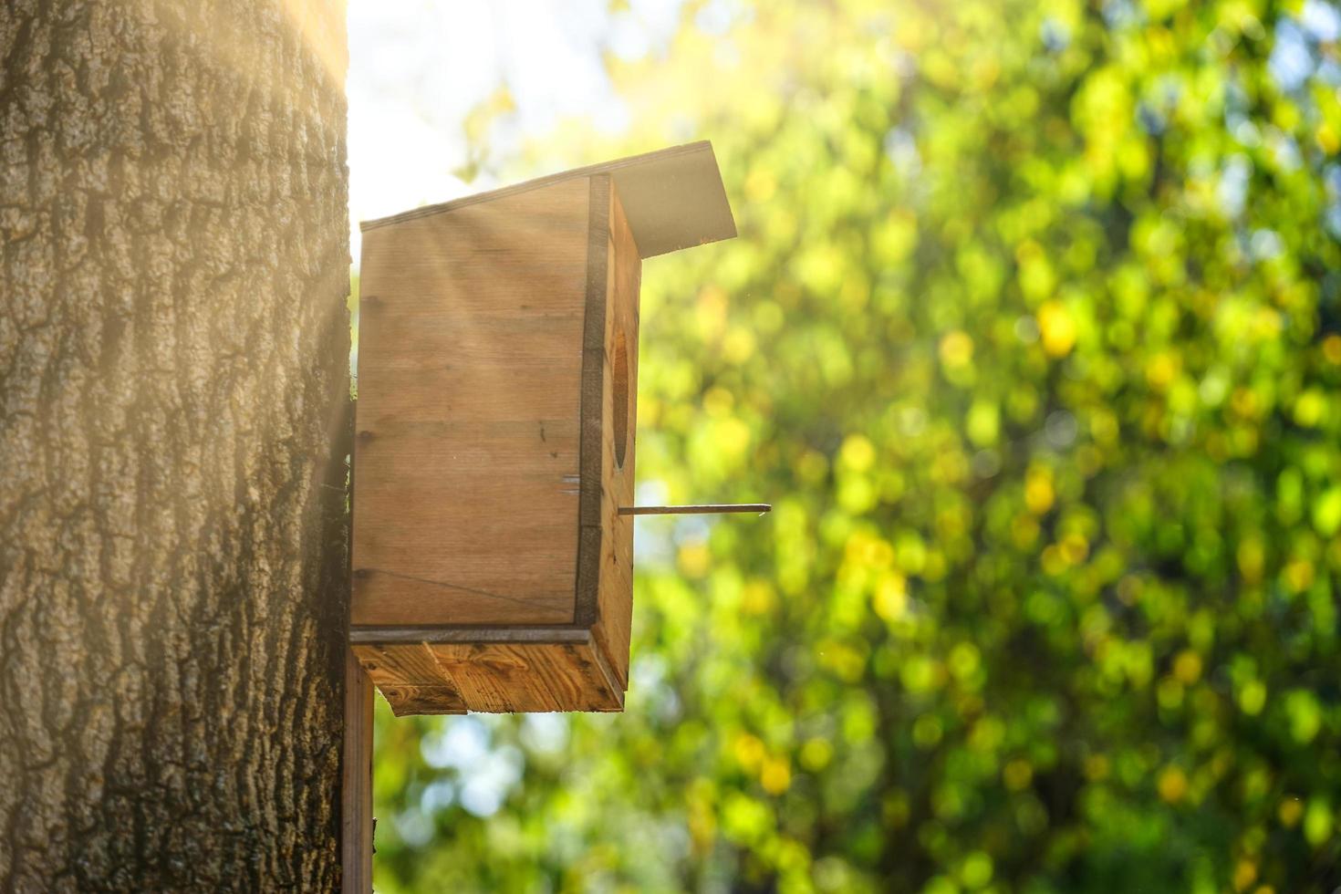 una casita para pájaros hecha de madera contrachapada en un tronco de árbol grueso foto