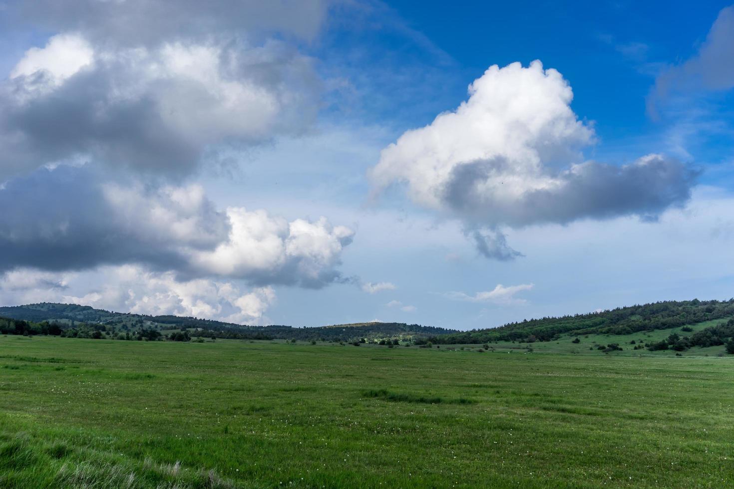 A huge green field of grass under blue sky and white clouds. photo