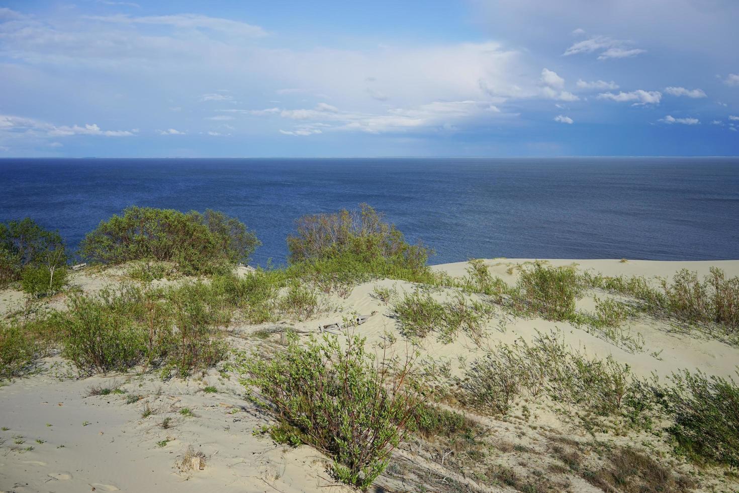 Deserted seascape on the Baltic sea and sand dunes photo