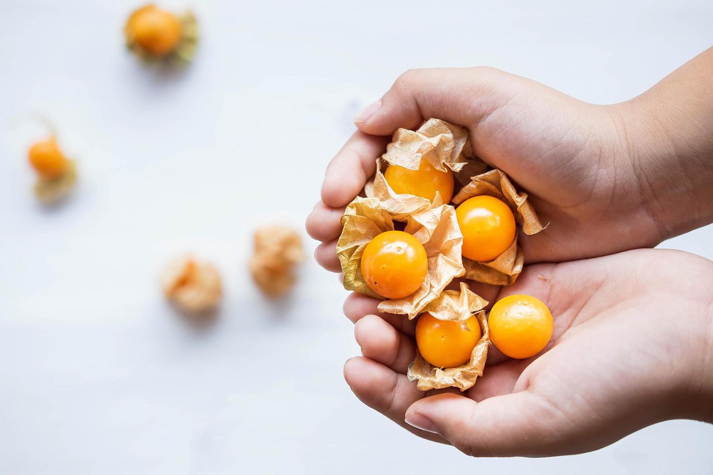 Fresh Cape Gooseberry  in hand photo