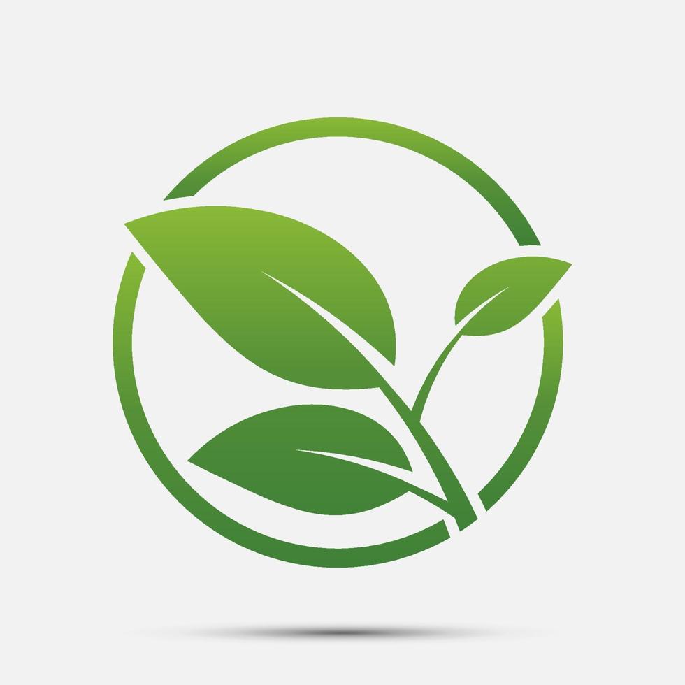 Green leaf icon vector