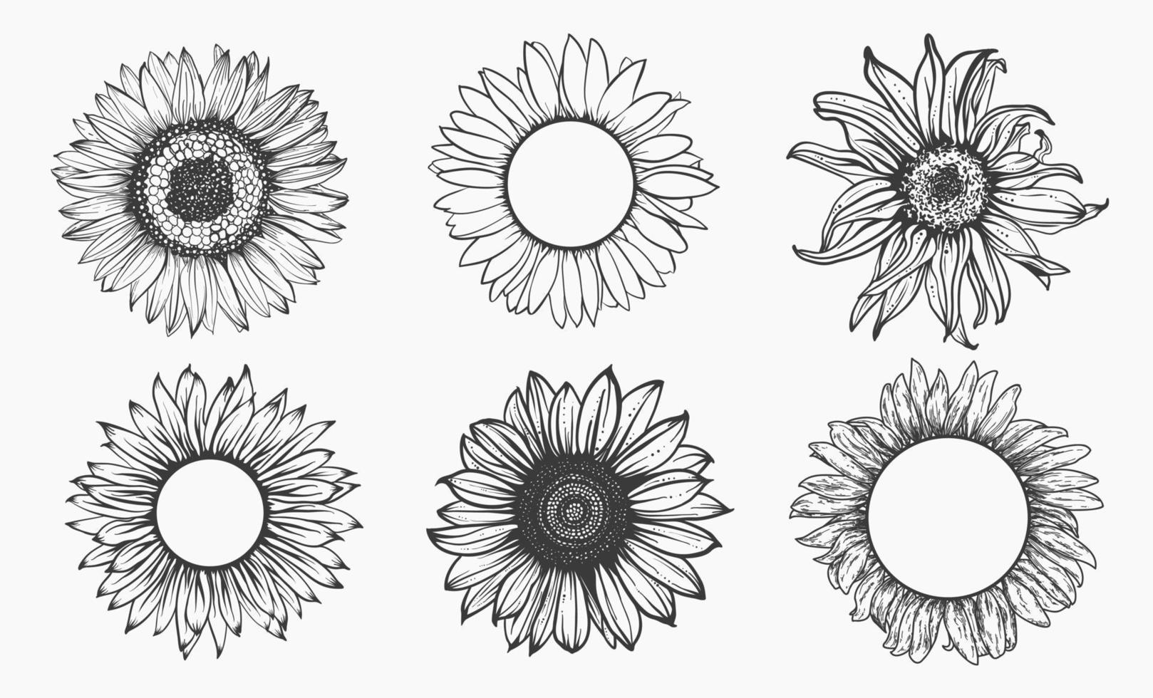 bosquejo del conjunto de girasol. contorno dibujado a mano. ilustración vectorial. vector