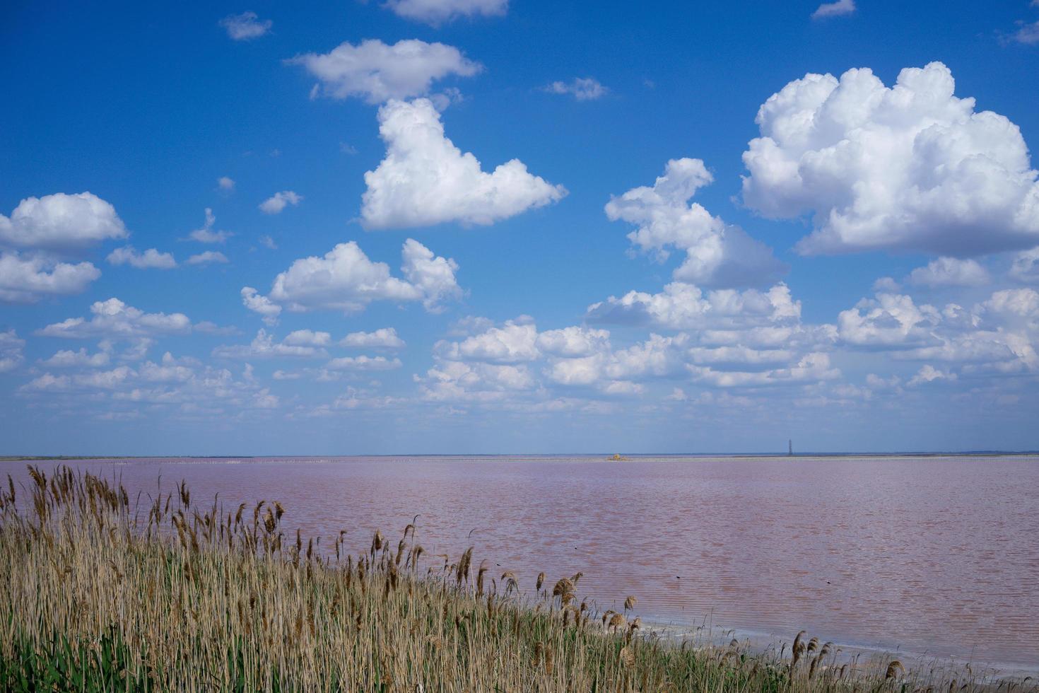 Natural landscape with pink salt lake. photo