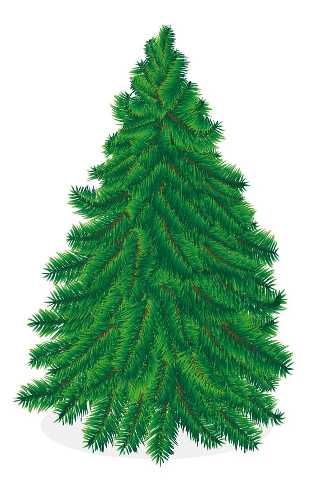 vector de árbol de navidad sobre un fondo blanco