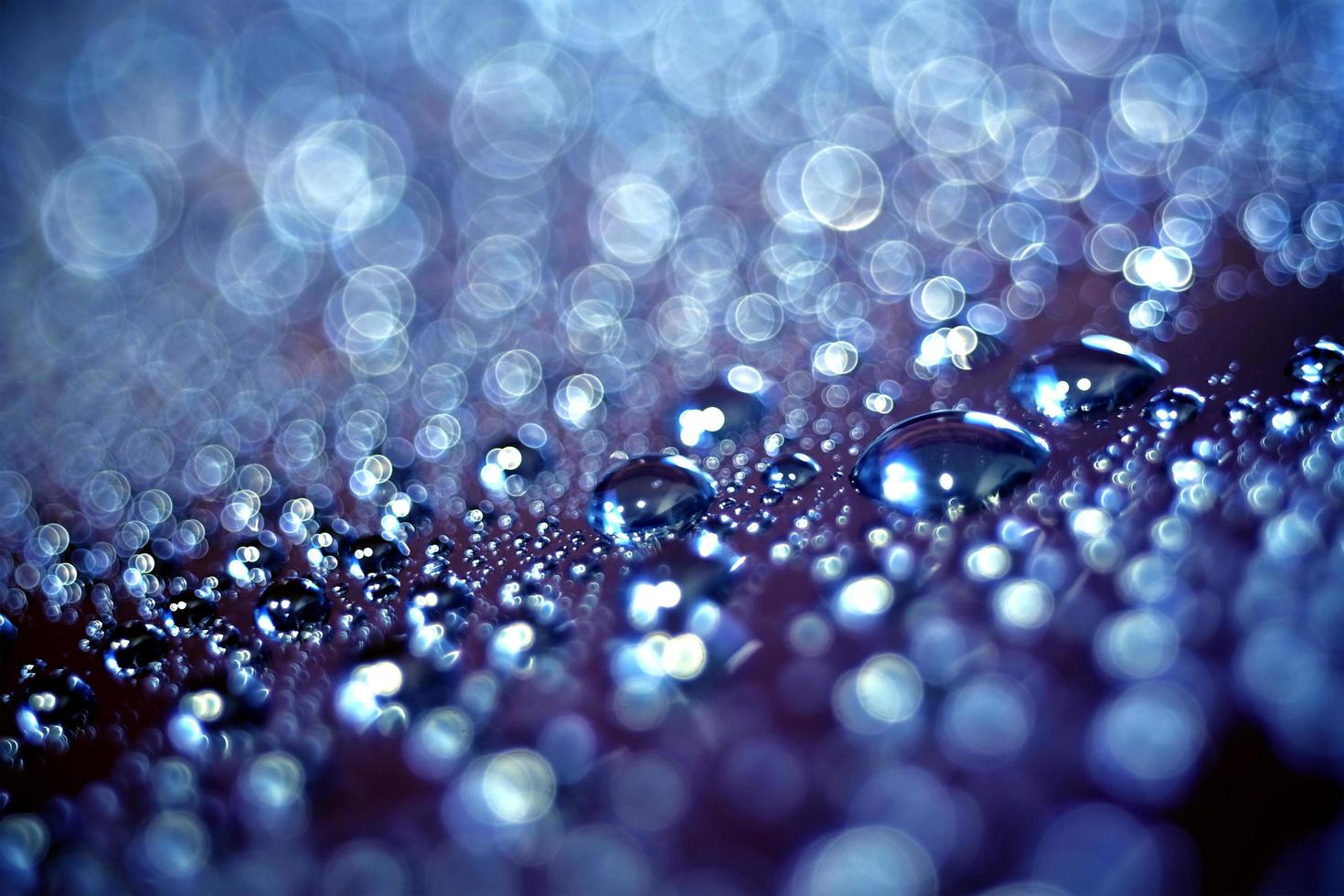 Macro image of droplets on shiny surfae. photo