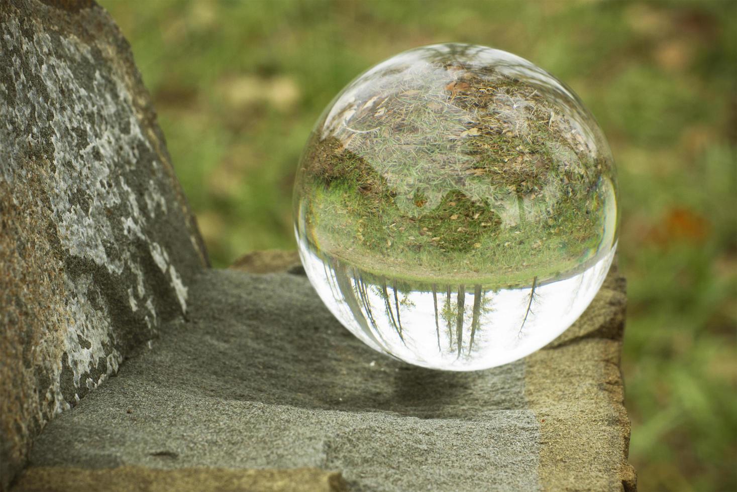 A lens ball in an autumn forest photo