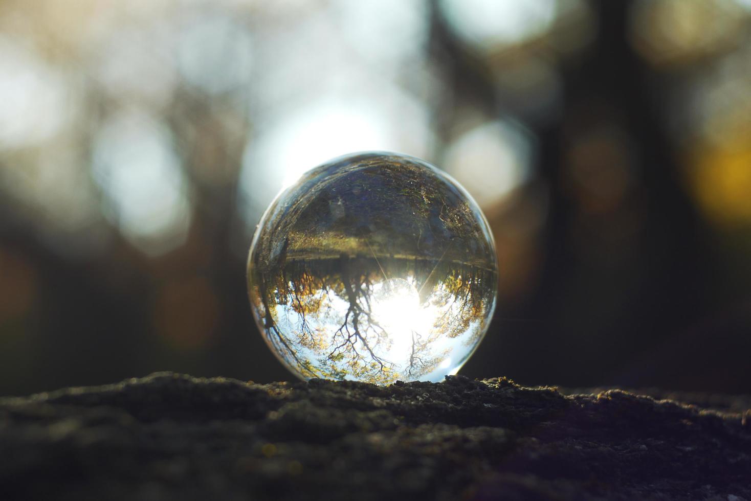 A lens ball in an autumn forest photo