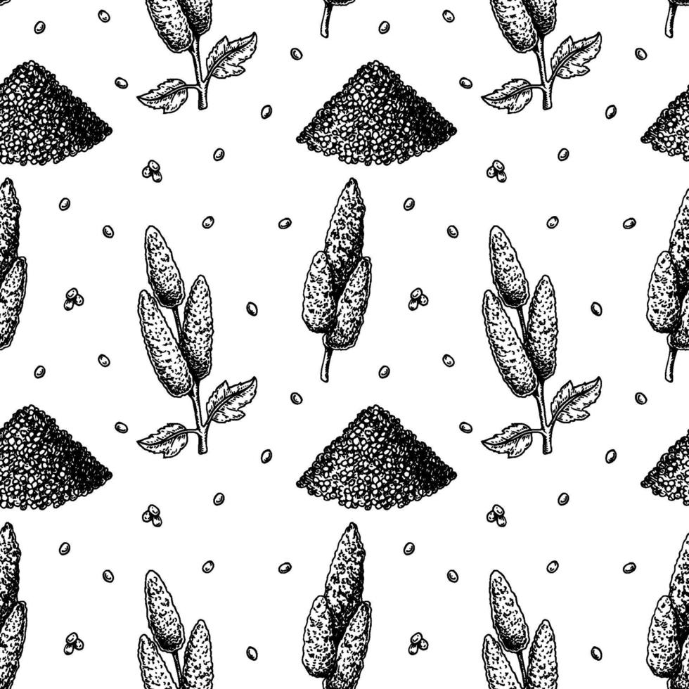 Quinoa seamless pattern. Vector illustration in sketch style