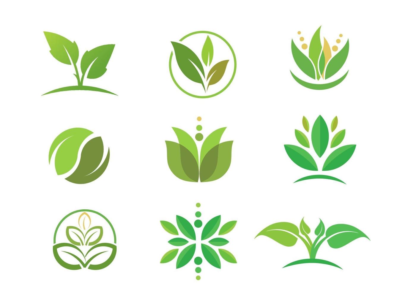 simple circle green Leaf logo vector collection