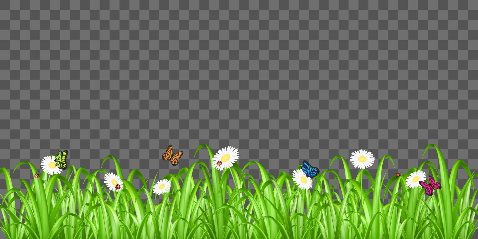 hierba, flor y mariposa en el fondo vector