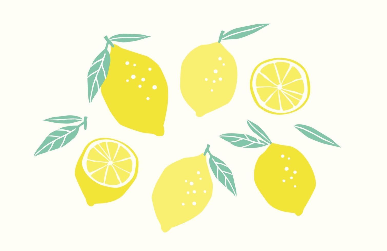 Set of drawn lemons. Citrus fruits, lemons, limes. Vector illustration. Isolated elements